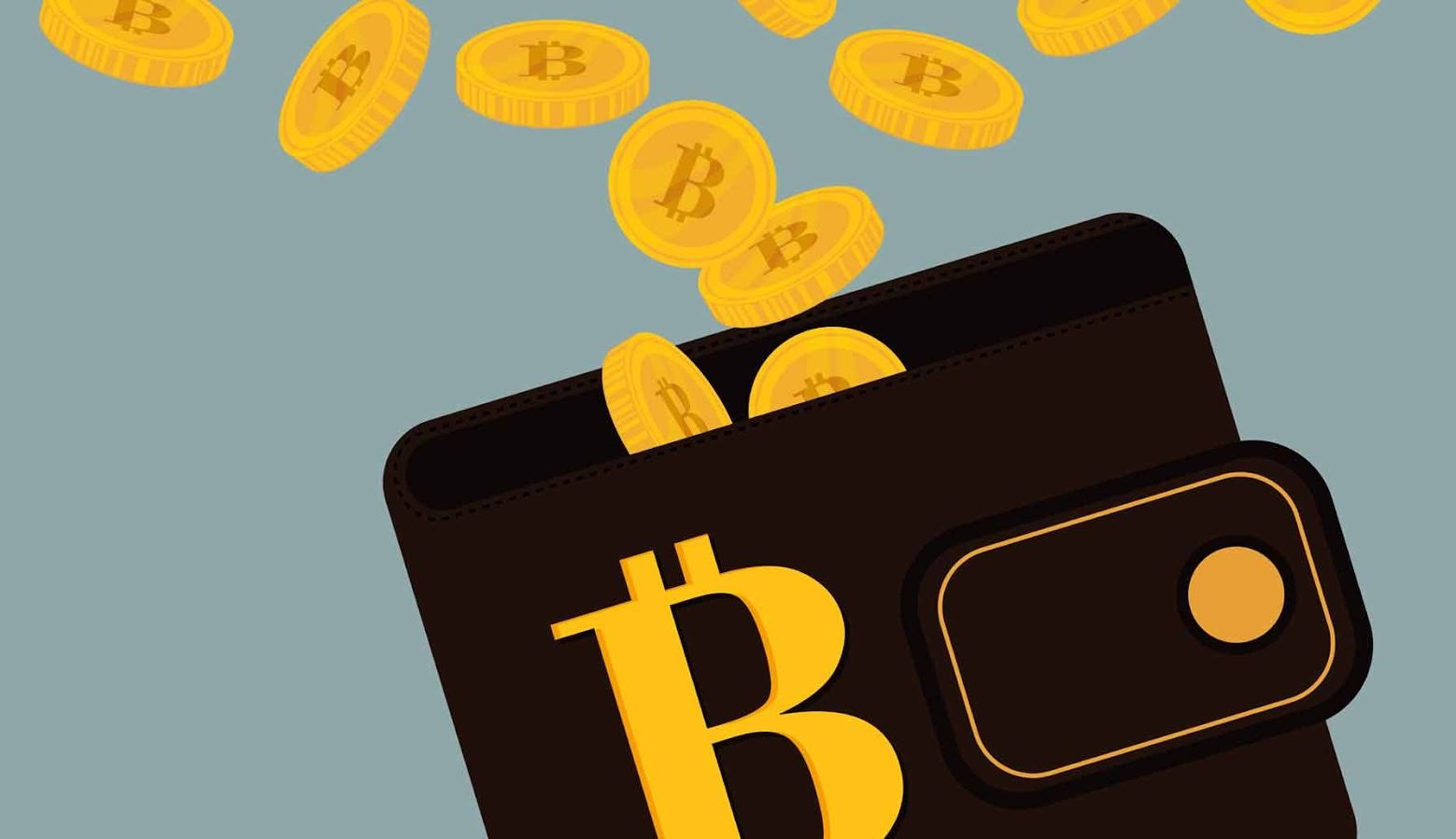 Best Bitcoin Wallet App and Sites To Store Your Coins (100 ...